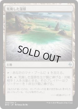 画像1: 荒廃した湿原/Blighted Fen (BFZ)《Foil》