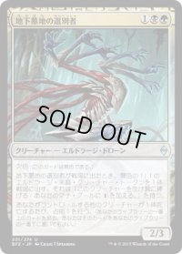 地下墓地の選別者/Catacomb Sifter (BFZ)《Foil》