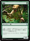 鎌豹/Scythe Leopard (BFZ)《Foil》