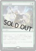 ニッサの復興/Nissa's Renewal (BFZ)《Foil》