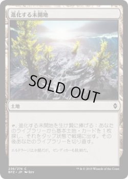 画像1: 進化する未開地/Evolving Wilds (BFZ)《Foil》