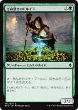 生命湧きのドルイド/Lifespring Druid (BFZ)《Foil》