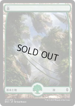 画像1: 森/Forest【Ver.2】(BFZ)《Foil》