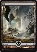 沼/Swamp【Ver.3】(BFZ)《Foil》