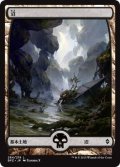 沼/Swamp【Ver.5】(BFZ)《Foil》