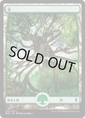 森/Forest【Ver.4】(BFZ)《Foil》