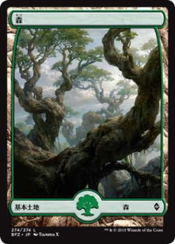 画像1: 森/Forest【Ver.5】(BFZ)《Foil》