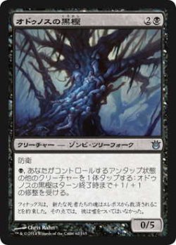 画像1: オドゥノスの黒樫/Black Oak of Odunos (BNG)《Foil》