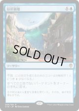 沿岸崩壊/Coastal Breach (C16)