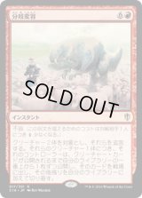 分岐変容/Divergent Transformations (C16)