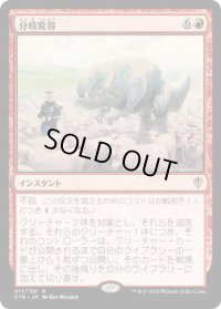 分岐変容/Divergent Transformations (C16)