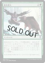 進化増大/Evolutionary Escalation (C16)