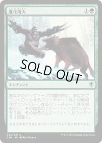 進化増大/Evolutionary Escalation (C16)