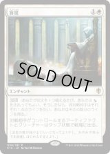 盲従/Blind Obedience (C16)