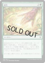耕作/Cultivate (C16)