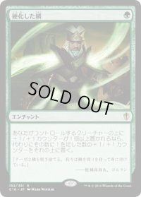 硬化した鱗/Hardened Scales (C16)