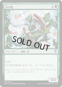 花の壁/Wall of Blossoms (C16)