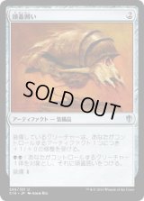 頭蓋囲い/Cranial Plating (C16)
