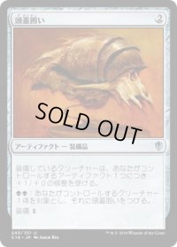 頭蓋囲い/Cranial Plating (C16)