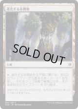 進化する未開地/Evolving Wilds (C16)