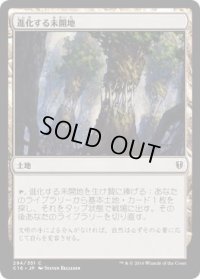 進化する未開地/Evolving Wilds (C16)