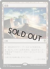 家路/Homeward Path (C16)