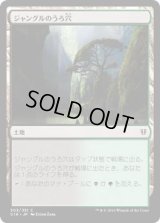ジャングルのうろ穴/Jungle Hollow (C16)