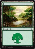 森/Forest【Illust:Rebecca Guay】 (C16)