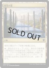 祖先の道/Path of Ancestry (C17)