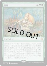 豊穣/Abundance (C17)