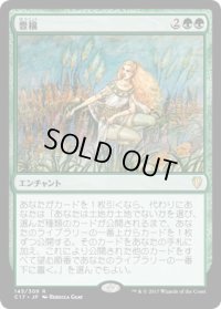 豊穣/Abundance (C17)