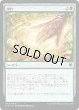 耕作/Cultivate (C17)