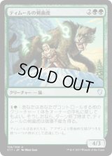 ティムールの剣歯虎/Temur Sabertooth (C17)