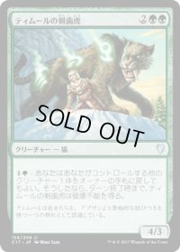 ティムールの剣歯虎/Temur Sabertooth (C17)