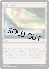 荒廃した森林/Blighted Woodland (C17)
