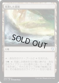 荒廃した森林/Blighted Woodland (C17)
