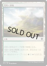 花咲く砂地/Blossoming Sands (C17)