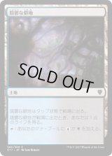 陰鬱な僻地/Dismal Backwater (C17)