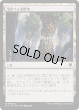 進化する未開地/Evolving Wilds (C17)