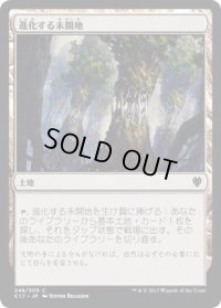 進化する未開地/Evolving Wilds (C17)
