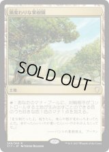 風変わりな果樹園/Exotic Orchard (C17)