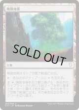 無限地帯/Myriad Landscape (C17)