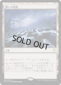 惑いの迷路/Mystifying Maze (C17)