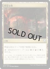 野蛮な地/Savage Lands (C17)