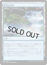 鮮烈な小川/Vivid Creek (C17)