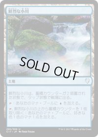 鮮烈な小川/Vivid Creek (C17)