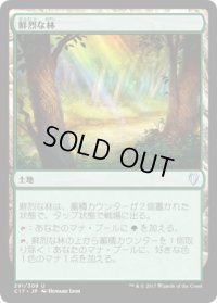 鮮烈な林/Vivid Grove (C17)