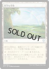 鮮烈な草地/Vivid Meadow (C17)