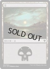 沼/Swamp【Ver.1】(C17)