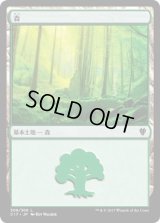 森/Forest【Ver.3】(C17)